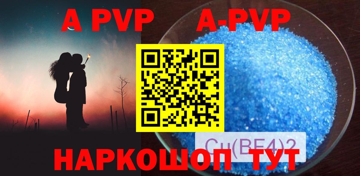 Альфа ПВП СК КРИС Ростов Великий