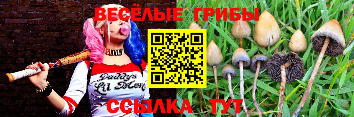 Галлюциногенные грибы Psilocybine cubensis  Вход с VPN  цена наркотик  Ростов Великий 